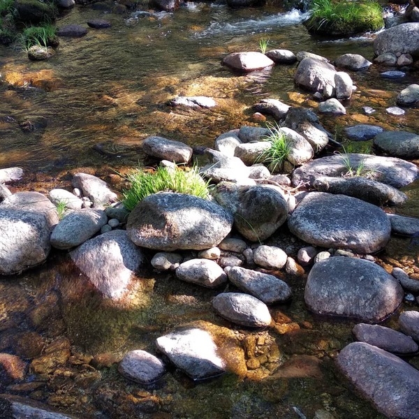 Agua cristalina